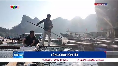 Làng chài đón Tết | VTV24