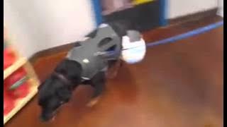 12814919 969821043110992 1964213850 n
