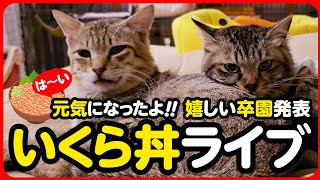 【ライブ記録】元気になったよはい♪いくら丼ライブ