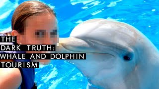 Dolphins and Whales In Captivity: The Dark Truth