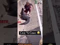 Crackhead Vs Croc 😭😭😭 #fyp #crackhead #funny #crocodile