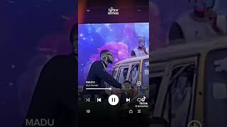 Kizz Daniel - Madu (Official lyrics Video)