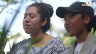 Video thumbnail of "POLY SONGBOOK: La'u Lupe - The Mavaega Sisters"