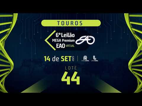 LOTE 44