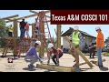 Learn about the texas am construction science department