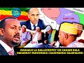 Sed Bursiga Beelaysan Ee Mustafe Cagjar Iyo Khiyaanada Gobolka Gaashaamo Oo Ethiopia Loo Bandhigay Sed Bursiga Beelaysan Ee Mustafe Cagjar Iyo Khiyaanada Gobolka Gaashaamo Oo Ethiopia Loo Bandhigay