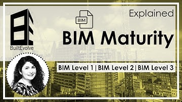 BIM Maturity Level: BIM Level 2, BIM Level 3