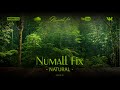 Numall fix  natural original mix royalty free music