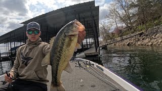 Jig Fish for days!! BFL tournament day 3-30-24