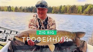 Трофейна роздача на Zig Rig + РОЗІГРАШ