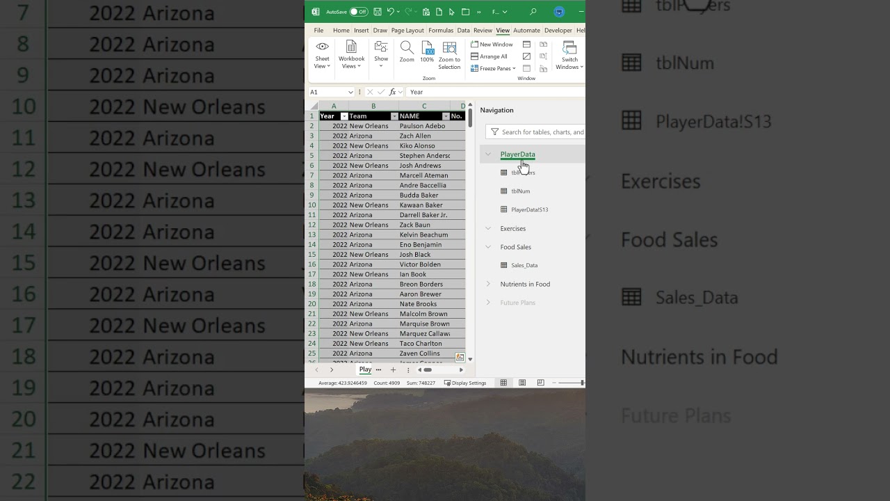 Use Excel Navigation Pane as a Table of Contents #shorts #shortsfeed