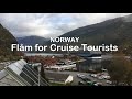 Flåm for Cruise Tourists - 17 tips on what to do | allthegoodies.com