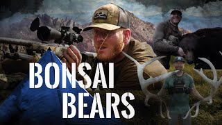 Backcountry Spring Bear Hunt | 4K FILM