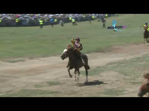 Видео: Хурдан морины үүлдэр: тодорхойлолт