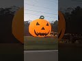 Pumpkin 🎃 🎃 #pumpkins #pumpkinpicking #Halloween #halloween2025 #decorations#usa