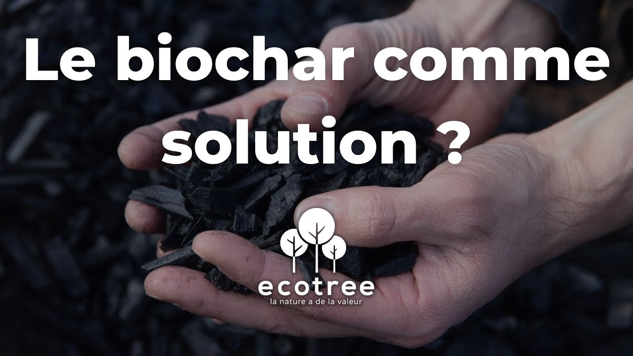 Tester l'épandage de biochar en forêt : nos forestiers et scientifiques au travail | EcoTree