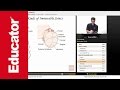 Articulations and Joints Quiz