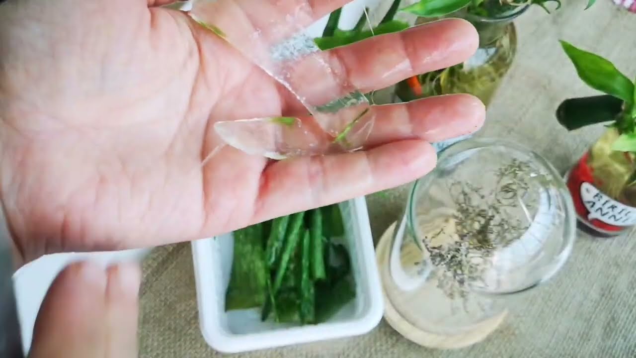aloe vera seeds Pink Aloe Vera Seeds