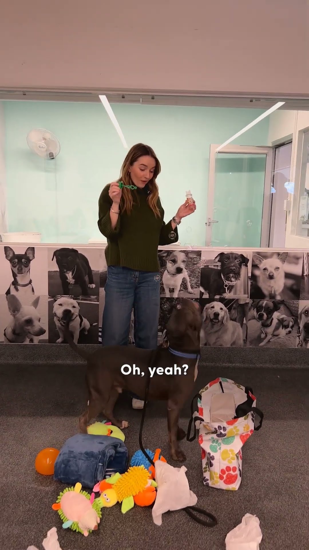Kaitlyn Dever's Dream Date Is Obsessed With Bubbles | The Dodo
