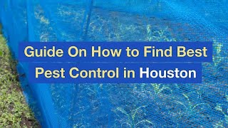 Guide On How to Find Best Pest Control in Houston
