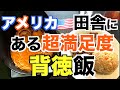 【アメリカ】背徳セットのラーメンとヒレ丼