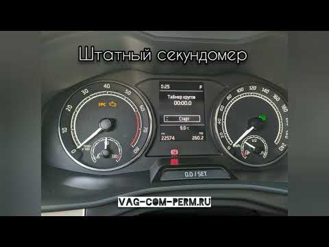 Skoda Rapid 2020 2021 2022 скрытые функции и их активация без последствий для гарантии в Перми👌💻