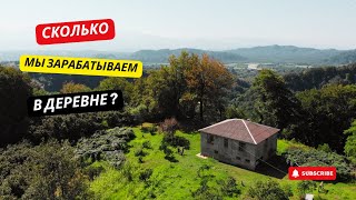 Сколько мы зарабатываем на своей плантации фундука?