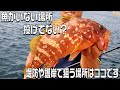 ロックフィッシュ初心者へ！根魚の釣り方をテスターが実釣解説します！そこ投げてもいません！プロから学ぶ根魚講座