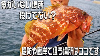 ロックフィッシュ初心者へ！根魚の釣り方をテスターが実釣解説します！そこ投げてもいません！プロから学ぶ根魚講座