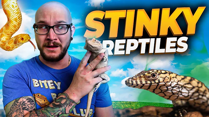 Top 5 SMELLIEST Reptiles! Are These Species Worth The Hassle!?