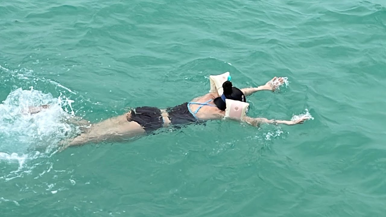 Jeju vlog • 제주에서 먹고 마시고 수영하라🕶️🥕🤑 2탄