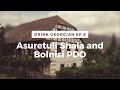 Episode 8. Georgian PDOs from Kvemo Kartli - Asuretuli Shala and Bolnisi