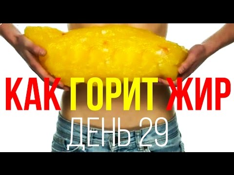 День № 29. Как сгорает жир и куда уходит лишний вес при похудении