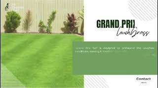 Why Grand Prix Turf by Hi Quality Turf is the Ultimate Choice for a Premium Lawn
