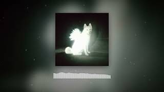 Fat Dog - Call It What You Want