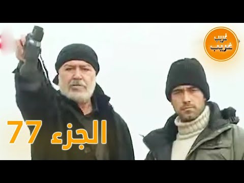 الجزء 77 امرأة غريبة