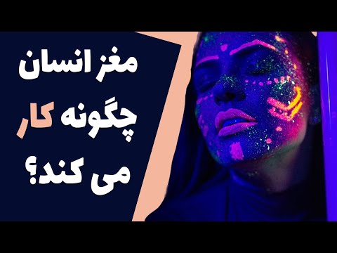 مغز انسان چگونه کار میکند؟ - اسرار ذهن انسان - حقایقی شنیدنی از مغز انسان