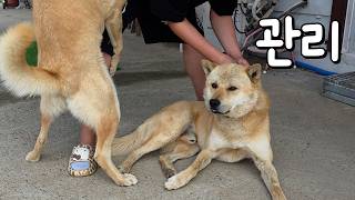 결국 구조했습니다