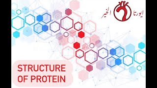 Biochemistry- Structure of Protein screenshot 2