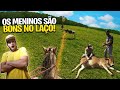 CAPTURA PERIGOSAS DAS BEZERRAS PERDIDAS, alongados no mato parte#2