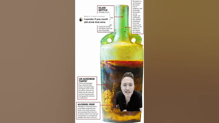 Could you drink a 1700 year old bottle of wine? #shorts - DayDayNews