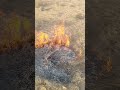 short t #video #and viral