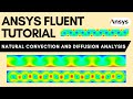ANSYS Fluent Tutorial: Natural Convection and Diffusion Analysis in a 2D Rectangular Channel