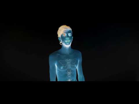 בעל זבוב מוצא ת עצמי BAAL ZVOOV 