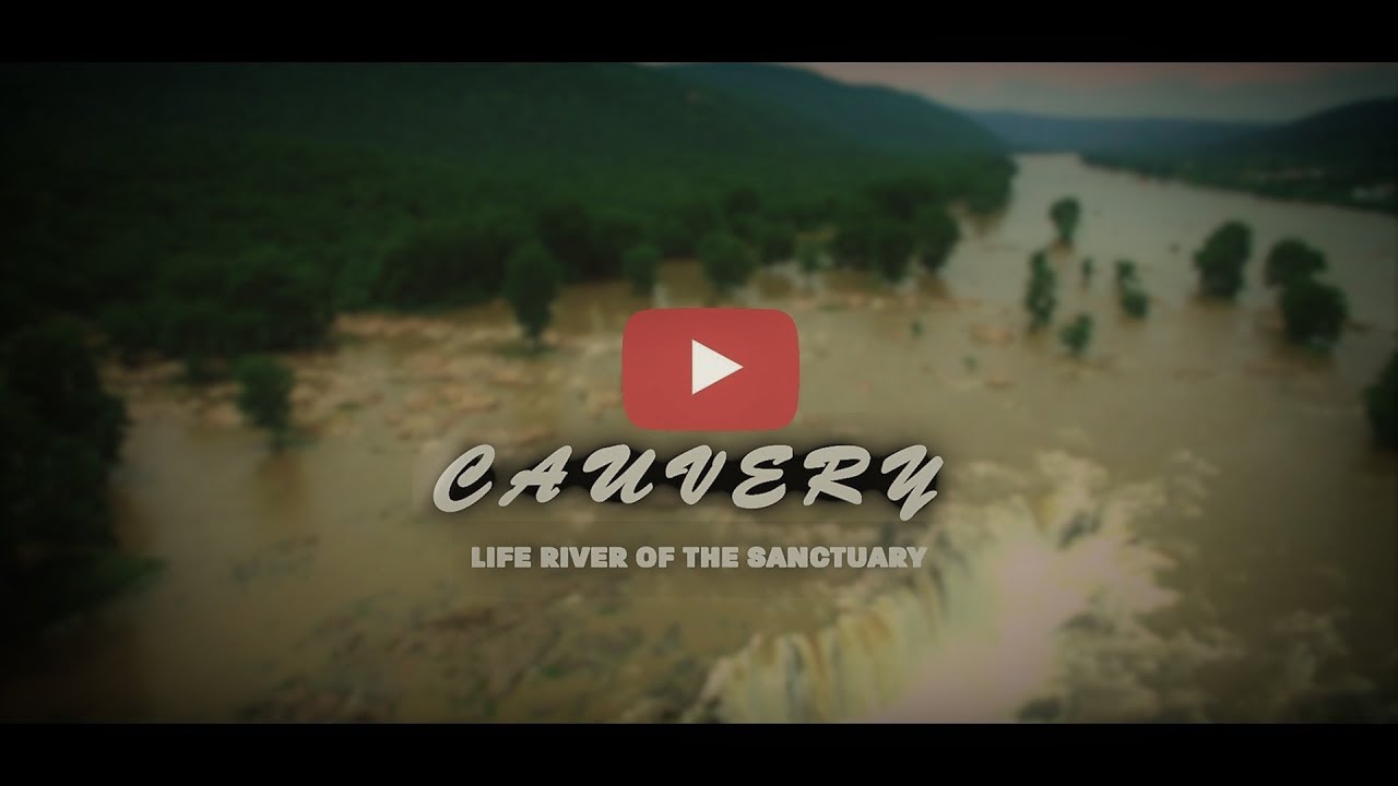 Cauvery - Life River of the Sanctuary