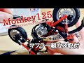 【完成間近】#6 HONDA モンキー125  / マフラー組立&取付 / plastic model / Monkey
