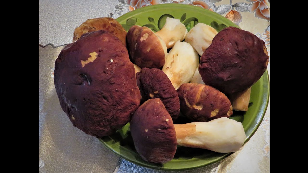 В лесу И немного грибов - YouTube