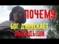 Почему Бог допускает выкидыши и замершую беременность? За что?