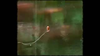 Mario Cano - Wild Nature Video Oficial
