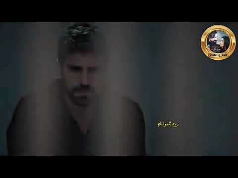كون انكلب قانون وحكم حكم عام وحكم على ال كلهن بل عدام